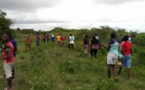 Lutte contre la "déforestation" au Sud: Le programme "Un Casamançais un arbre" lancé