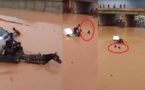 Inondations à Rufisque : Noyade spectaculaire de ce cheval dans les eaux de pluies