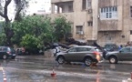 Violent orage : Un arbre déraciné par le vent, fait des dégâts devant Sorano...