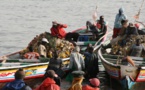 109 pêcheurs Sénégalais arrêtés en Guinée