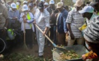"Clean Day", un véritable succès du président Macky Sall (Par Baba Tandian)