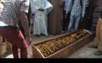 Vidéo: La triste levée du corps du journaliste Lamine Sagna à l’hôpital régional de Ziguinchor 