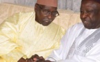 Serigne Mansour Sy Djamil, nouveau porte-parole du Khalif général des Tidianes