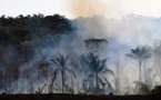 Au Brésil, l’Amazonie brûle dans l’indifférence générale