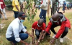 Littoral de Diembering: 10 mille arbres seront plantés