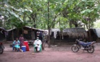 Crise armée en Casamance: Retour difficile des victimes dans leurs villages(REGARDEZ)