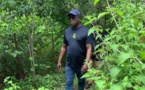 Ziguinchor: Dans son village, Abdoulaye Baldé visite ses champs