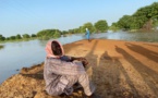 Podor: La route de l’ile à Morfil ne serait pas bitumée. La population dénonce et menace... 