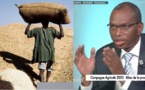 Pr Moussa Baldé sur le prix du KG d'arachide fixé à 250 FCFA:" Le président Sall vient de monter, qu'il faut d'abord l'émergence du monde rural..."