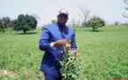 Le Président Macky Sall, héros du monde rural