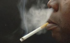 « Le tabagisme tue 8 millions de personnes par an » (Dg Oms)