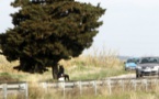 Une jeune fille traînée dans la forêt de Mbao et violée en plein jour