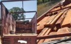 SEDHIOU : La gendarmerie interpelle un trafiquant de bois avec 141 troncs de madriers