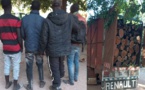Casamance : Un camion transportant du bois et un minibus chargé de 85 sacs de charbon saisis par l'armée