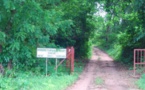 Boutoupa Camaracounda: Deux corps sans vie retrouvés dans la forêt de Bilas 