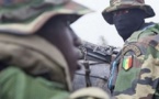Ziguinchor: L’armée pilonne la forêt de Bilasse