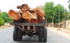 Gambie – Dix-neuf containers remplis de bois en provenance de la Casamance prêts à embarquer
