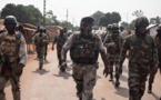 Centrafrique : le fief de l'ex-président Bozizé repris par les forces pro-gouvernementales