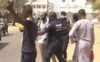 Ziguinchor: Comment Madia Diop Sané a été arrêté