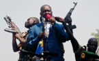 Centrafrique : François Bozizé à la tête d'une coalition rebelle 