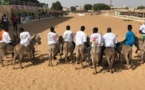 Course à Mbacké : L'âne qui porte le nom d'Adji Sarr a fait une chute spéculaire