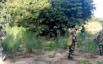 Nord - Bignona :  Le corps d'un jeune découvert, ses parents accusent l'armée...