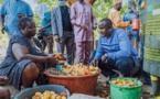 Commercialisation de l’anacarde au Sud : la DER n’est plus rapide