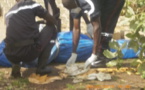 Exhumation d'un corps chez Serigne Moustapha Sy : Ce qui s'est réellement passé
