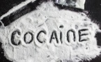 “Chinois” arrêté avec 50 boulettes de cocaïne