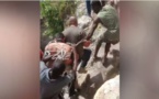 Assassinat du président en Haïti : la population traque et livre à la police deux suspects