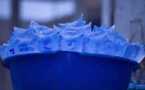 Eau en sachet : 700 usines menacées de fermeture