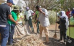 Civisme : Le cleaning day de Macky, un projet mort-né