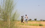 Delta du Sénégal : Le Sel menace les terres