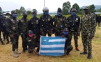 Cameroun : qui arme les combattants ambazoniens ?