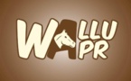 Convocation de Barthélémy Dias : Les précision de "WALLU  APR"  (Communiqué) 