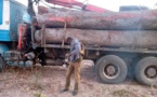 Trafic transfrontalier : 8 coupeurs de bois arrêtés en Casamance