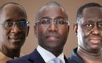 Diouf Sarr, Amadou Hott, Aliou Sall… Les grands perdants de la majorité présidentielle