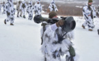 Guerre en Ukraine: l'art de la guérilla