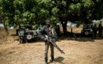 La Gambie face à un afflux de déplacés de Casamance en raison de l’opération militaire sénégalaise