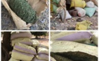 Bignona : une dizaine de sacs de chanvre saisis auprès des bases du MFDC