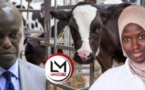 Graves révélations sur la fille de Mansour Faye, propriétaire d’une ferme