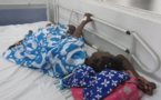 Une mort de plus dans les hopitaux du Sénégal : Inadmissible ! ( Par Bassirou Sané)