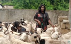 Tabaki 2022 á Oussouye : Dieynaba Goudiaby au chevet des religieux avec 80 moutons et une enveloppe de...