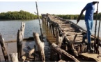 Enclavement de la Casamance :  La difficile traversée du pont de Gniback (Bignona)
