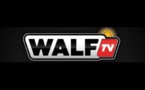 Babacar DIAGNE fait couper le signal de WALFTV
