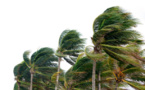 Météo : Des vents forts attendus sur la Petite-Côte et en Casamance