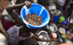 Le Programme alimentaire mondial lance un appel d'urgence pour le Mali