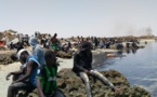 Vidéo : Tunisie, la détresse des migrants abandonnés à leur sort