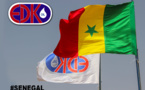 "Edk Oil, Djolof Chiken" :Voici le parcours riche et atypique du discret homme d’Affaires Demba Ka