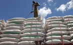 Au moins 300.000 tonnes de blé russe achetées par ce pays africain